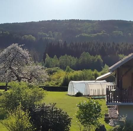Les Jumeaux Daire Granges-sur-Vologne Dış mekan fotoğraf