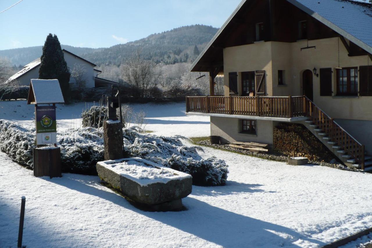 Les Jumeaux Daire Granges-sur-Vologne Dış mekan fotoğraf