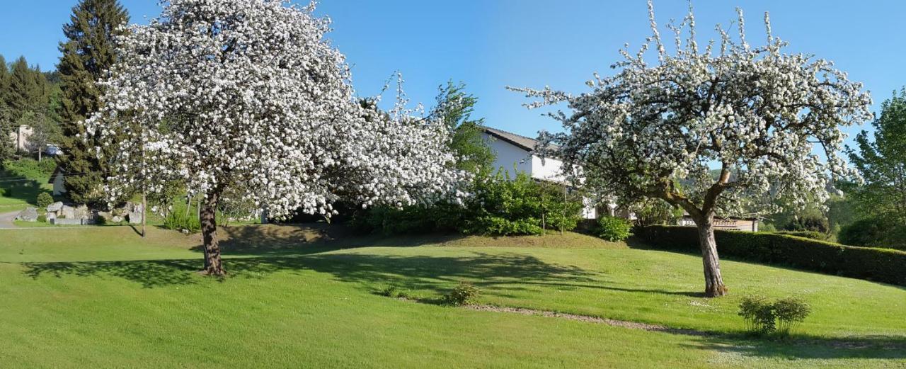 Les Jumeaux Daire Granges-sur-Vologne Dış mekan fotoğraf
