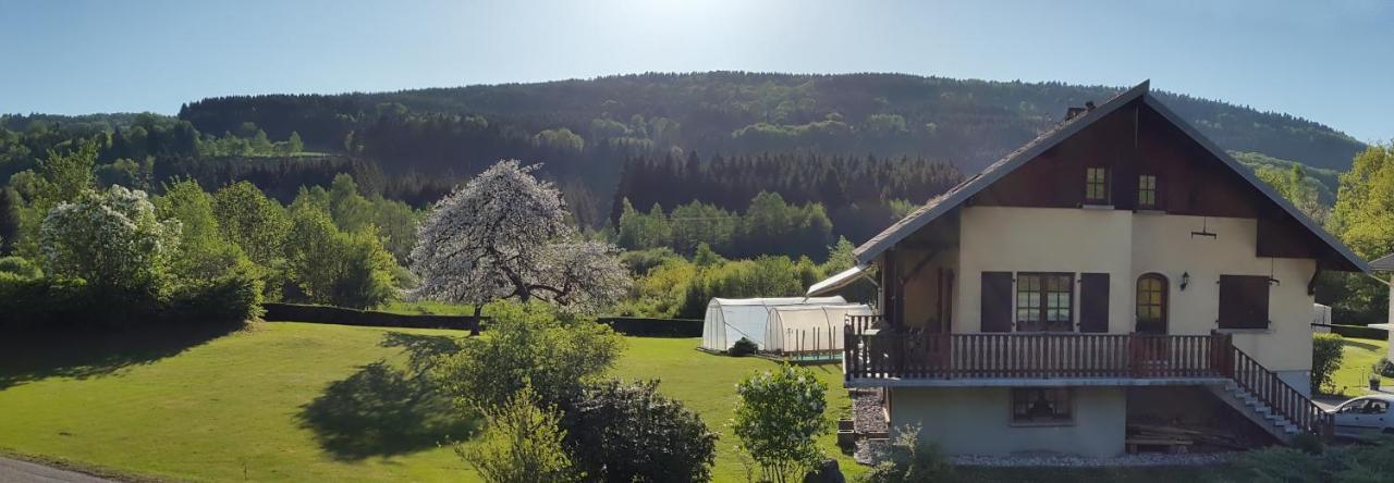 Les Jumeaux Daire Granges-sur-Vologne Dış mekan fotoğraf